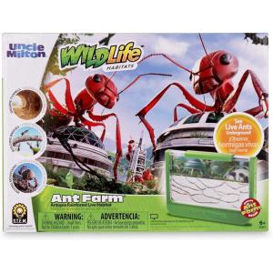 Uncle Milton Ant Farm Antopia Rainforest Ant Habitat – Observe Live Ants – STEM -Nature Learning Toy Green For 6 – 15 years(Green)